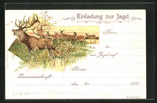 AK Einladung zur Jagd, Röhrender Hirsch auf eienr Wiese