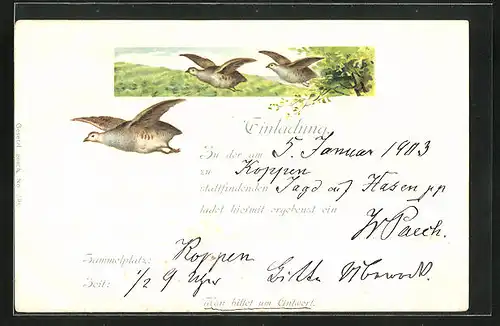 AK Einladung zur Jagd auf Hasen, Fliegende Rebhühner