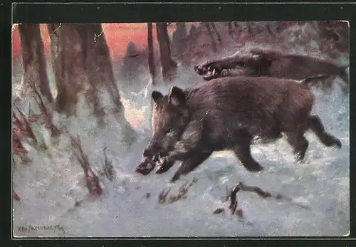 AK Wildschweine rennen bei Schnee durch den Wald