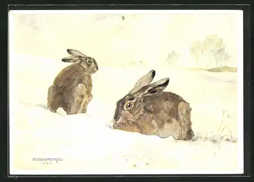 AK Kaninchen im Schnee