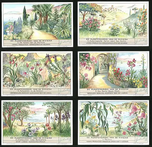 6 Sammelbilder Liebig, Serie Nr. 1354: De Plantengroei van de Riviera, Menton, San Remo, De Hoven van la Mortola