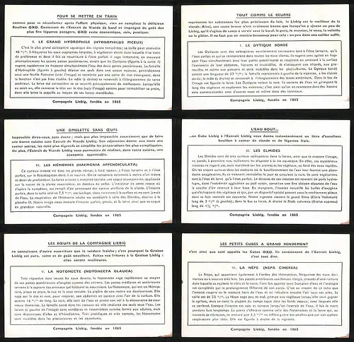 6 Sammelbilder Liebig, Serie Nr. 1357: Insectes Vivant dasn l`eau, La Népe, La Notonecte, Les Elmides, Les Hémonies