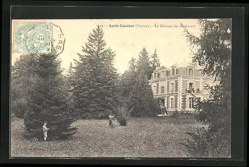 AK Saint-Sauveur, Le Chateau des Baronnets