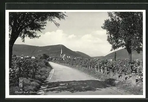 AK Rhodt / Weinstrasse, Blick von der Feldstrasse auf den Ort