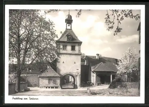 AK Sommerhausen, Frühling am Torturm