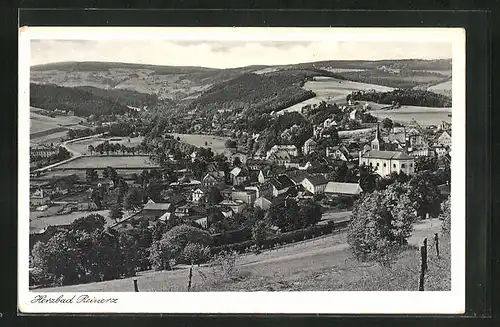 AK Bad Reinerz, Panoramablick von der Bergwiese