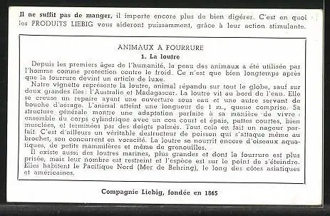 Sammelbild Liebig, Serie: Animaux a Fourrure, No. 1, La loutre