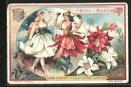 Sammelbild Liebig, Lilie-Kaktus, zwei Frauen tanzen in Blumenkleidern