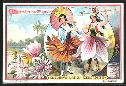Sammelbild Liebig, Chrysanthemum-Magnolie, zwei Frauen tanzen in Blumenkleidern