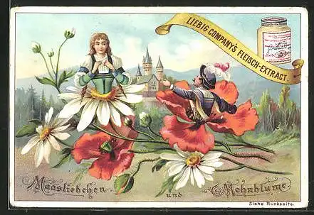 Sammelbild Liebig, Maasliebchen und Mohnblume, Knappe und Fräulein auf Blüten sitzend