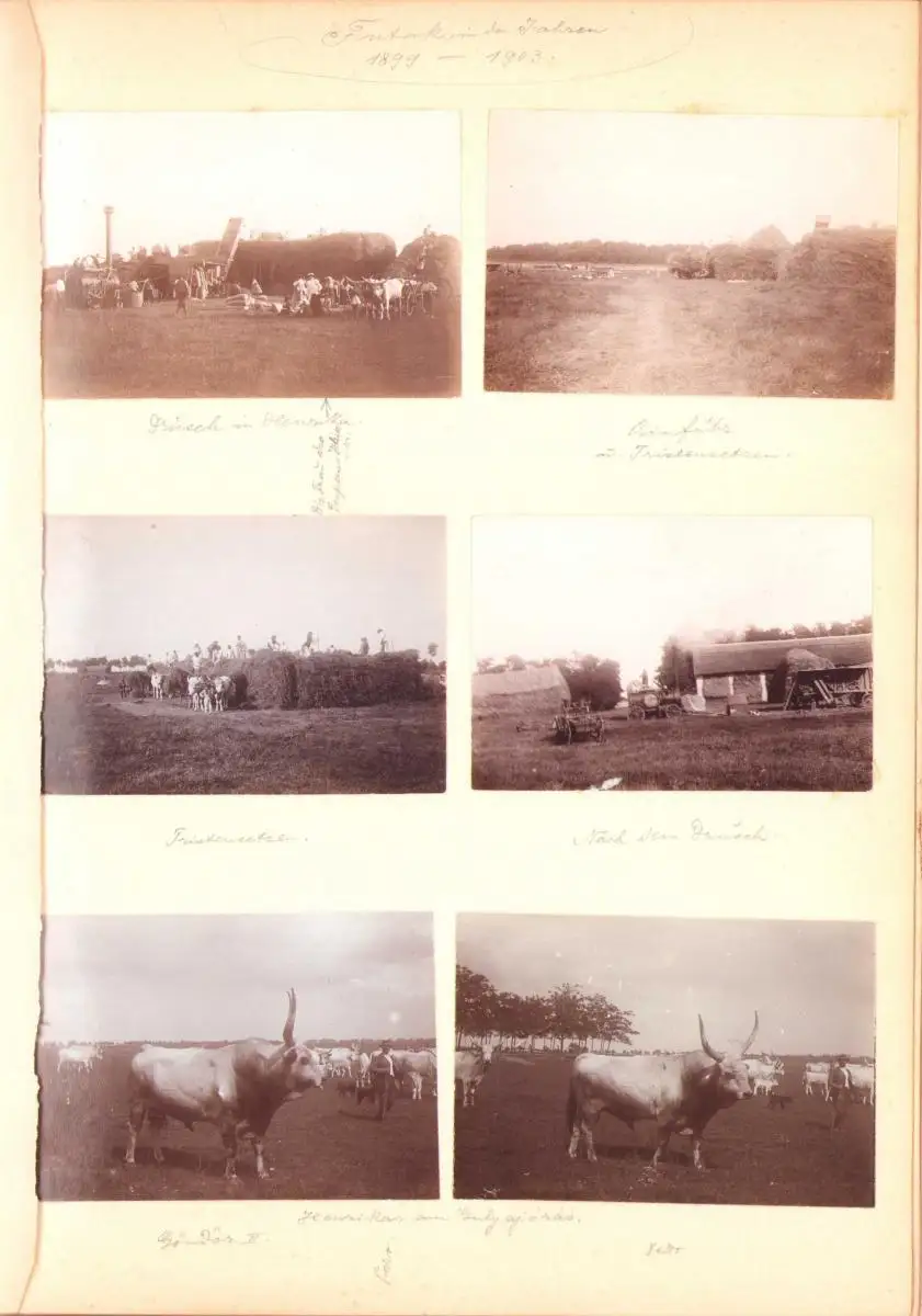 Fotoalbum 352 Fotografien 1897-1903, Jäger mit Dackel auf Jagdreise durch die Tatra, Karpaten, Polen, Serbien, Schlesien 11