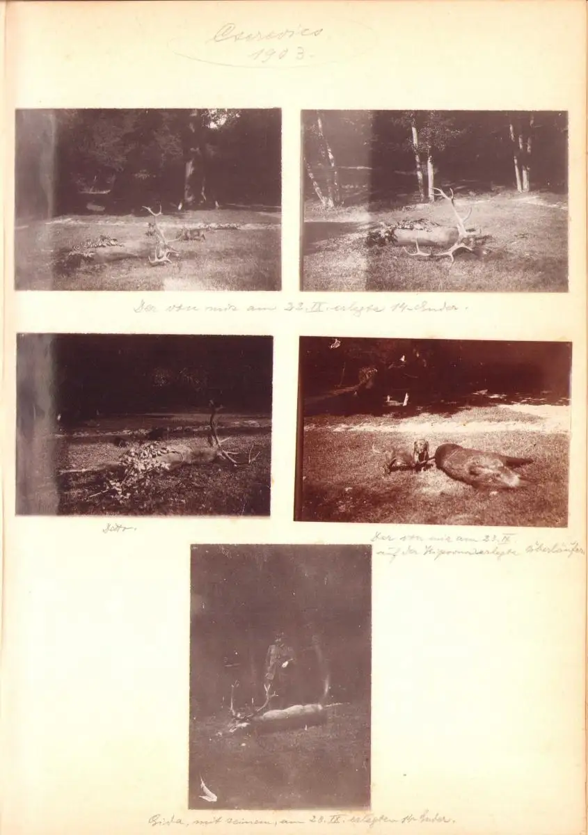 Fotoalbum 352 Fotografien 1897-1903, Jäger mit Dackel auf Jagdreise durch die Tatra, Karpaten, Polen, Serbien, Schlesien 3
