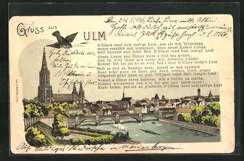 AK Ulm, Generalansicht mit dem Münster und der Donau