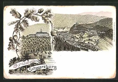 Lithographie Schwarzburg, Blick hinauf zum Schloss, Talblick mit der Ortschaft