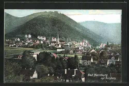 AK Bad Harzburg, Generalansicht mit dem Burgberg