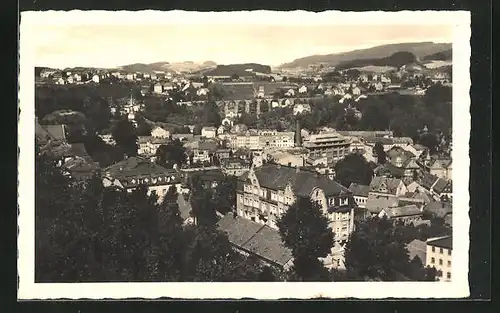 AK Sebnitz i. Sa., Generalansicht der Stadt