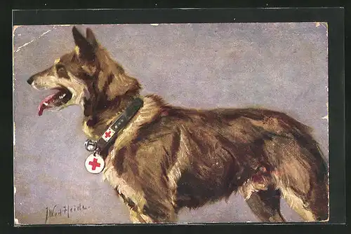 Künstler-AK Sanitätshund Deutscher Schäferhund