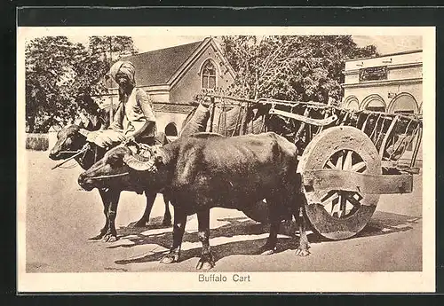 AK Buffalo Cart, Ochsengespann in Indien