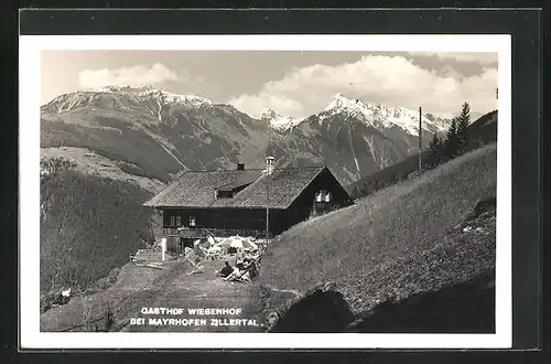 AK Mayrhofen /Zillerthal, Gasthof Wiesenhof