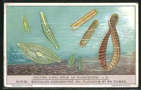 Sammelbild Liebig, Gouttes d'Eau sous le Microscope, No. 5