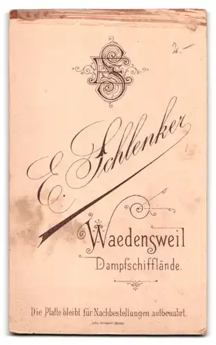 Fotografie E. Schlenker, Wädensweil, feine Dame mit Puffärmelkleid