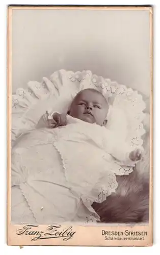 Fotografie Franz Zeibig, Dresden, Schandauerstrasse 1, niedliches Baby in Spitze eingewickelt