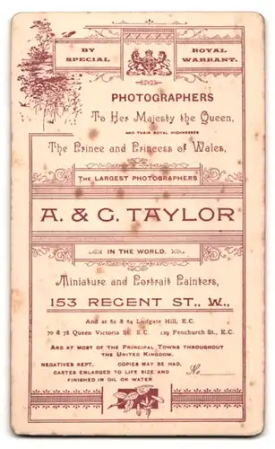 Fotografie A & G Taylor, London, 153 Regent Street, höchsteleganter Herr gekonnt posierend