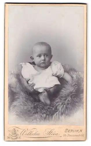 Fotografie Wilhelm Stein, Berlin, 66 Chausseestrasse, verschrecktes Kleinkind auf Fell sitzend