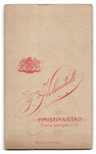 Fotografie F. Holmstedt, Kristianstad, Östra Storgatan 91, nette bürgerliche Familie gemeinsam posierend