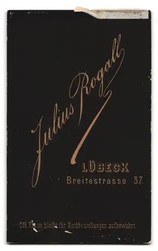 Fotografie Julius Rogall, Lübeck, Breitestrasse 37, elegante Dame mit Rehgesicht