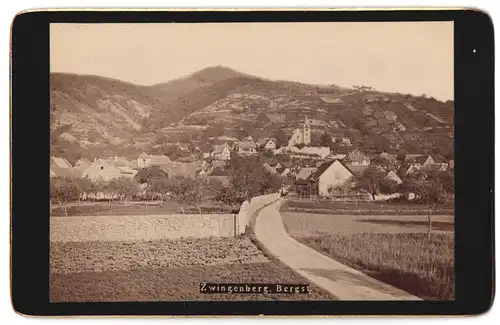 Fotografie unbekannter Fotograf, Ansicht Zwingenberg, Bergstrasse mit Blick zum Ort
