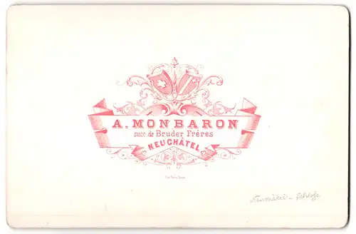 Fotografie A. Monbaron, Neuchatel, Ansicht Neuchatel, Blick über die Stadt auf das Schloss