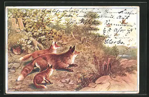 Künstler-AK Fuchsfamilie vor ihrem Bau