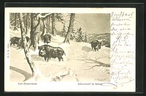 Künstler-AK Wildschweine am Waldesrand