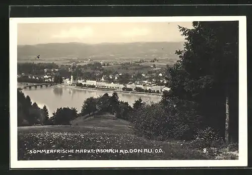 AK Markt-Aschach a. d. Donau, Teilansicht