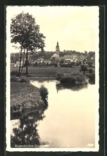 AK Waizenkirchen /Oberdonau, Teilansicht mit Kirche und Bäumen