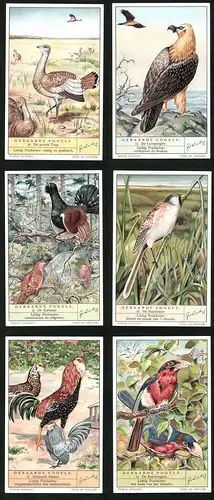 6 Sammelbilder Liebig, Serie Nr. 1408: Gebaarde Vogels, De Baardvogels, Gebaarde Hanen, De Baardmees, De Korhaan