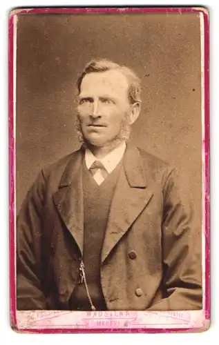 Fotografie C. H. Gustafsson, Wadstena, Portrait Herr im Anzug mit Backenbart