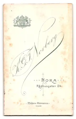 Fotografie K. G. T. Norberg, Nora, Rädhusgatan 24, Portrait alte Frau im karierten Kleid mit Brosche