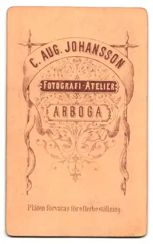 Fotografie C. Aug. Johansson, Arboga, Portrait Dame im Biedermeierkleid mit Brosche