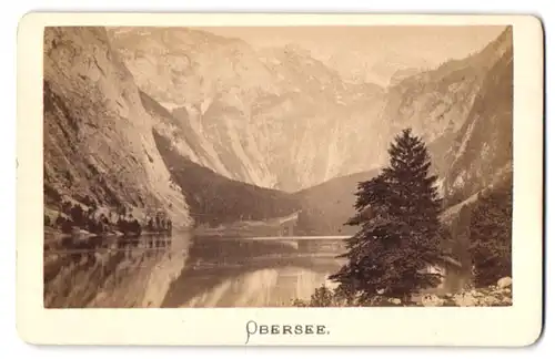 Fotografie F. Grainer, Reichenhall, Ansicht Obersee, Partie am See mit Berchtesgadener Alpen