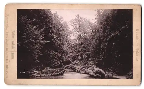 Fotografie Paul Bayer, Dresden, Ansicht Edmundsklamm, Flusspartie in der böhmischen Schweiz