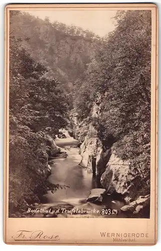 Fotografie Fr. Rose, Wernigerode, Mühlental, Ansicht Bodethal, Blick in das Tal von der Teufelsbrücke