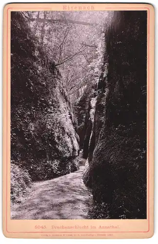 Fotografie Römmler & Jonas, Dresden, Ansicht Eisenach, Drachenschlucht im Annathal