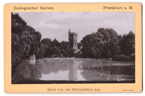 Fotografie Fay, Frankfurt / Main, Ansicht Frankfurt / Main, Zoologischer Garten, Blick von der Restauration