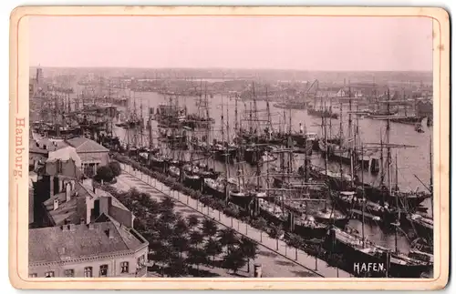 Fotografie unbekannter Fotograf, Ansicht Hamburg, Hafenpartie mit Segelschiffen
