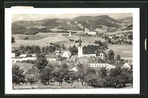 AK Waldhausen, Teilansicht vom Hügel aus