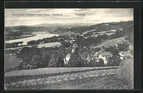 AK Haibach, Blick auf den Ort und ins Donautal