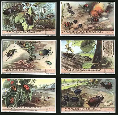 6 Sammelbilder Liebig, Serie Nr. 1476: Landkevers van West-Europa, Mistkäfer, Hirschkäfer, Regenwurm