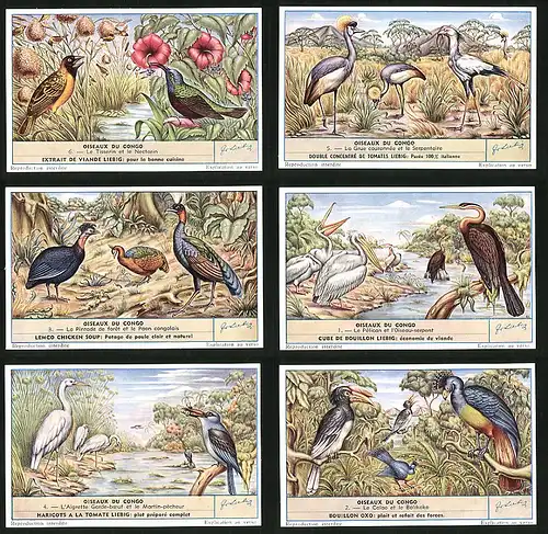 6 Sammelbilder Liebig, Serie Nr. 1632: Oiseaux du Congo, Pelikan, Wasservögel, Afrika